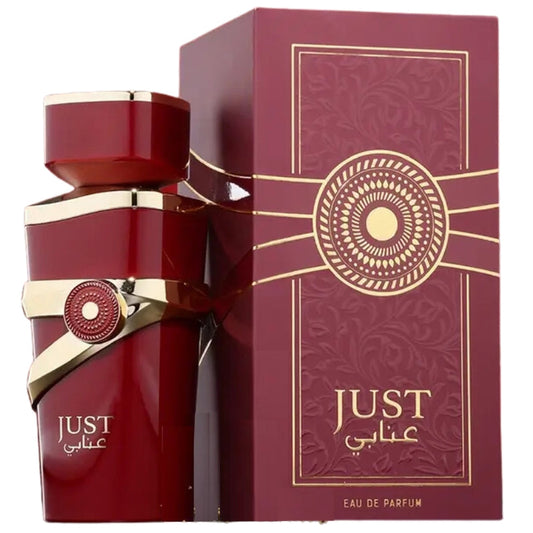 Just Anabi Eau de Parfum by Fragrance World 100ml